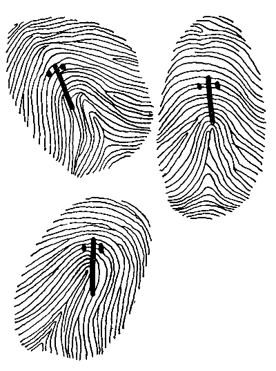 Отпечатки пальцев