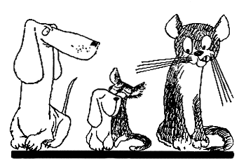 Пес, щенок, котенок и кот