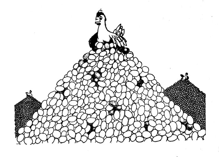 Куры-несушки ответили на элеутерококкус значительным повышением числа яиц, а цыплята усиленно набирали в весе