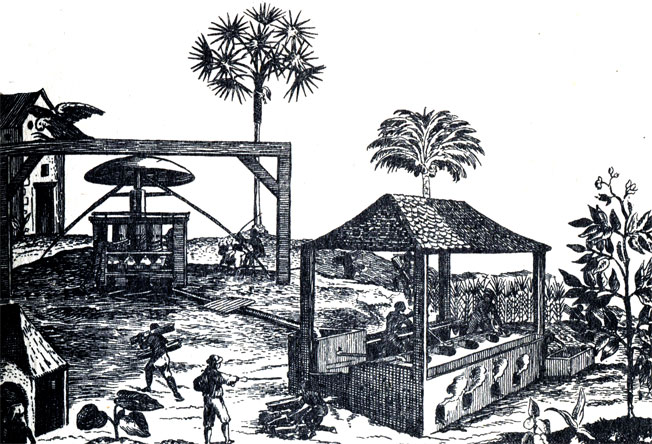 Сахарный завод конца XVII в. в Вест-Индии. Слева - устройство по размолу сахарного тростника, справа - печи для выварки сиропа