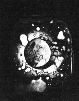 Дагерротип лунного серпа - возможно, это первая астрономическая фотография. Дж. Дрейпер, 1840 г. (Физический факультет Нью-Йорского университета.)